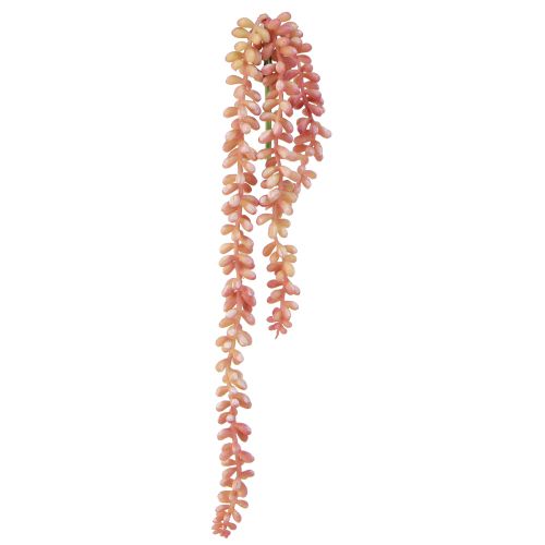 Artikel Sedum &#39;Rubin&#39; hängande växt - dekorativ, lättskött suckulent 43cm 3st.