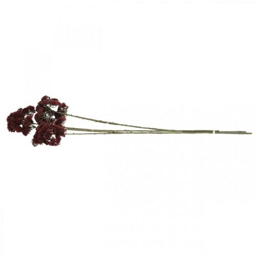 Floristik24 Sedum konstgjord röd stenhösten 70 cm 3st