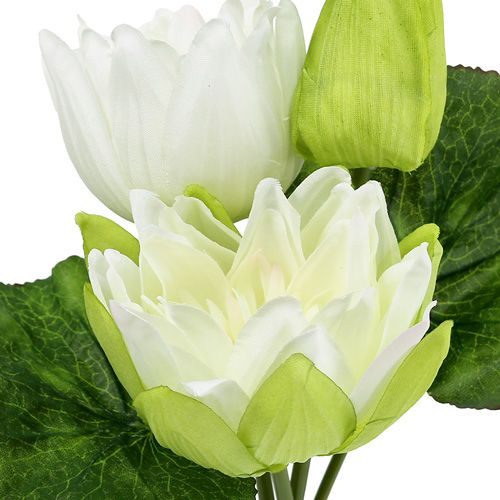 Floristik24 Vattenliljor konstgjord vit 35cm