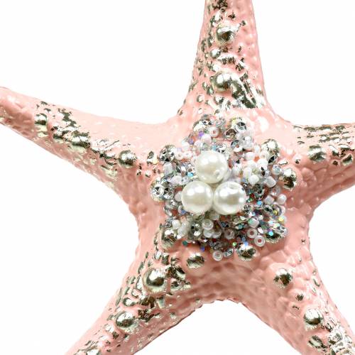 Floristik24 Decohängare sjöstjärna 12cm 3st