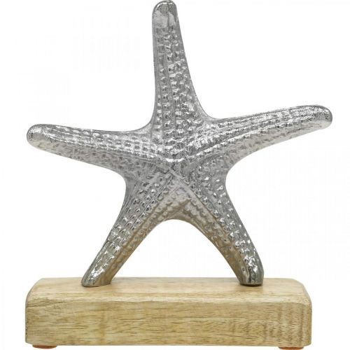 Floristik24 Metall sjöstjärnor, maritim dekoration, dekorativ skulptur silver, naturliga färger H18cm