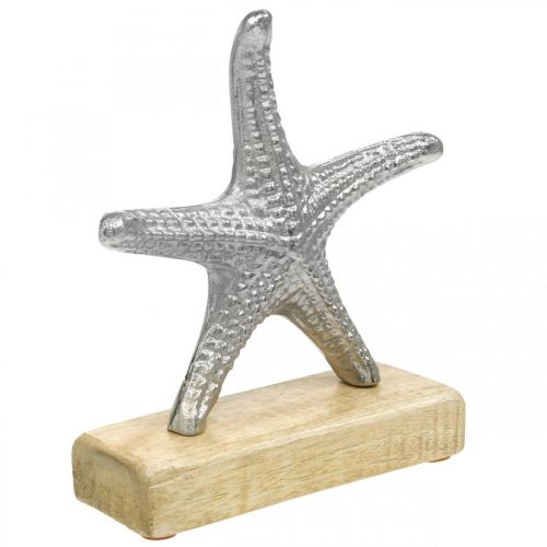 Floristik24 Metall sjöstjärnor, maritim dekoration, dekorativ skulptur silver, naturliga färger H18cm