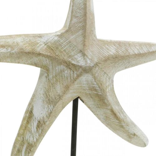 Floristik24 Sjöstjärna att placera, maritim trädekoration naturlig färg, vit H23,5cm