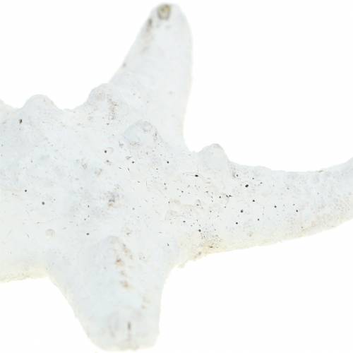 Artikel Knoppar sjöstjärna vit 30st