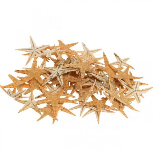 Artikel Sjöstjärnor scatter dekoration hem deco mini sjöstjärnor natur 2-4cm 50p