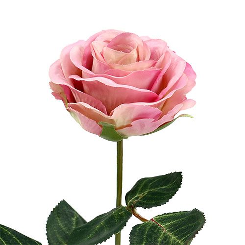 Floristik24 Silkeblommor rosa Ø7cm L37cm duskrosa 6st