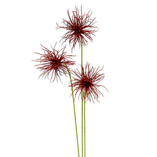 Floristik24 Sidenblommor Xanthium Bordeaux 64cm 4st