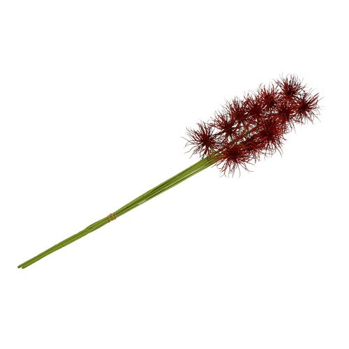 Floristik24 Sidenblommor Xanthium Bordeaux 64cm 4st