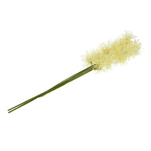 Floristik24 Silke blommor xanthium kräm 63cm 4st