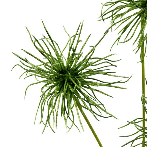 Floristik24 Silkeblommor xantiumgrön 63 cm 4st