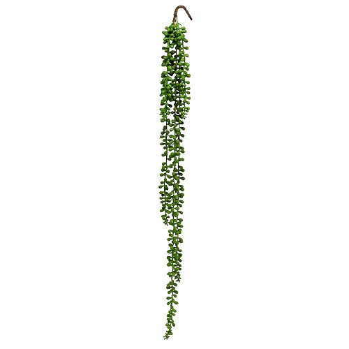 Floristik24 Senecio hängare 75cm grön