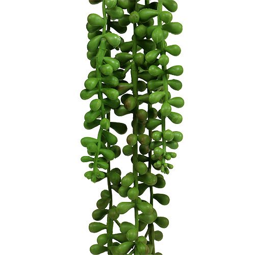 Artikel Senecio hängare 75cm grön