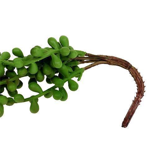Floristik24 Senecio hängare 75cm grön