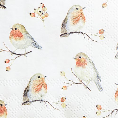 Floristik24 Servetter Höst Robin Nypon 25x25cm 20 st