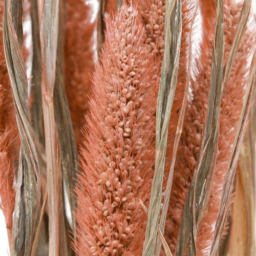 Artikel Setaria borst hirs torr dekoration lax 69cm 70-75g x 2st