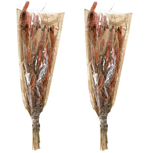Artikel Setaria borst hirs torr dekoration lax 69cm 70-75g x 2st