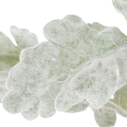 Konstgjord Senecio-gren, silverblad, intrikat tillverkad, 45 cm, 3 stycken | Floristik24.se