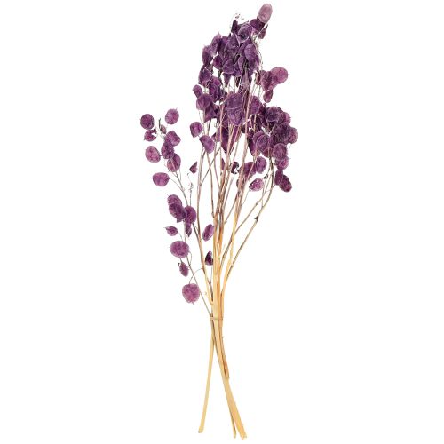 Artikel Torkat silverblad Lunaria månviolet lila 65-70cm 20g