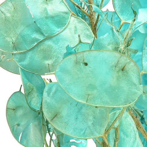 Artikel Torkat silverblad Lunaria ljusblått 65-70cm 20g