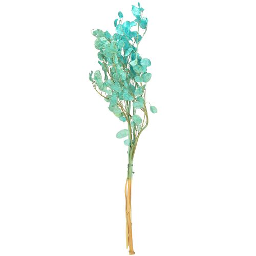 Artikel Torkat silverblad Lunaria ljusblått 65-70cm 20g
