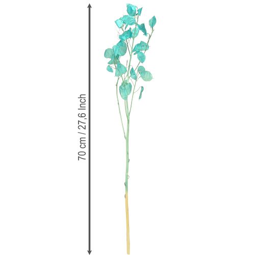 Artikel Torkat silverblad Lunaria ljusblått 65-70cm 20g