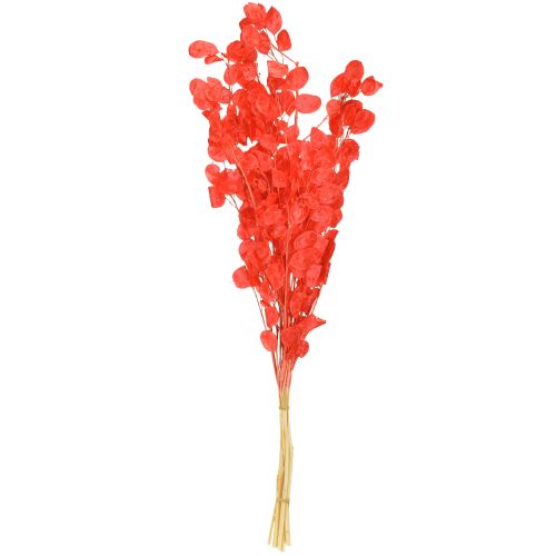 Artikel Torkat silverblad Lunaria röd 65-70cm 20g