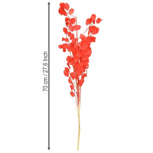 Artikel Torkat silverblad Lunaria röd 65-70cm 20g