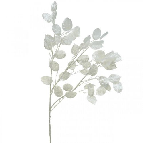 Floristik24 Dekorativ gren silverblad vit Lunaria gren konstgjord gren 70cm