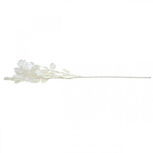 Floristik24 Dekorativ gren silverblad vit Lunaria gren konstgjord gren 70cm