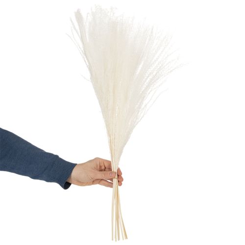 Artikel Torkade blommor, silvergräs. Elegant naturlig dekoration för hem och kontor. 70 cm, 10 stycken.