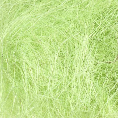 Floristik24 Sisal Maj Grön Dekorativ Naturfiber Sisalfiber 300g