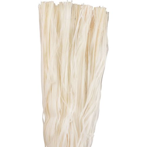 Artikel Vegetabiliska naturfibrer skelettband naturband dekoration 180g