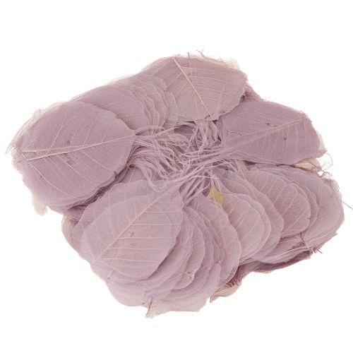 Artikel Skelettblad Bodhiblad skeletterade lila 5-15cm 200 st