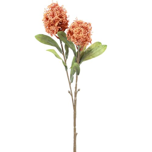 Artikel Skimmie Skimmia Japonica Konstgjorda Blommor Orange DryLook L59cm