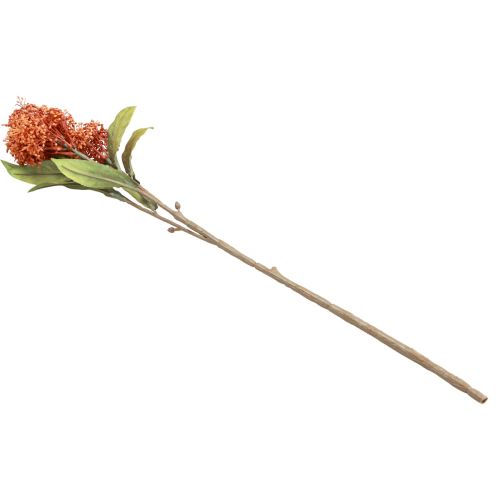 Artikel Skimmie Skimmia Japonica Konstgjorda Blommor Orange DryLook L59cm