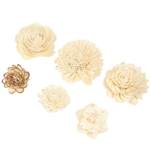 Sola Blommor Trä Trä Blommor Dekoration Mix Cream 6-11cm 12-15 st