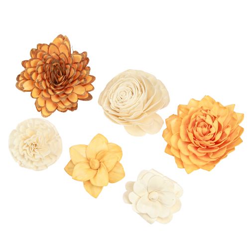 Floristik24 Sola träblommor dekorativa träblommor mix apelsin 6-11cm 12-15 st