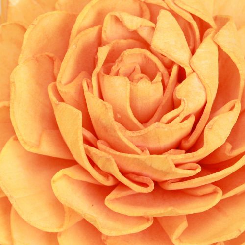 Artikel Sola träblommor dekorativa träblommor mix apelsin 6-11cm 12-15 st