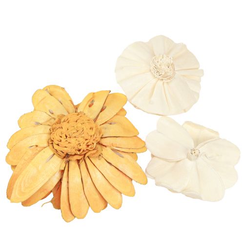 Artikel Sola träblommor dekorativa träblommor mix apelsin 6-11cm 12-15 st