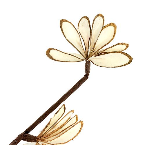 Floristik24 Sola Chips Sunny Stick Brun, Vit 6 st.