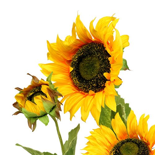 Floristik24 Solrosgul 85cm