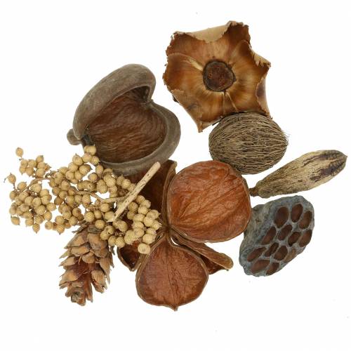 Floristik24 Exotiskt sortiment med strobuskoner natur 300g