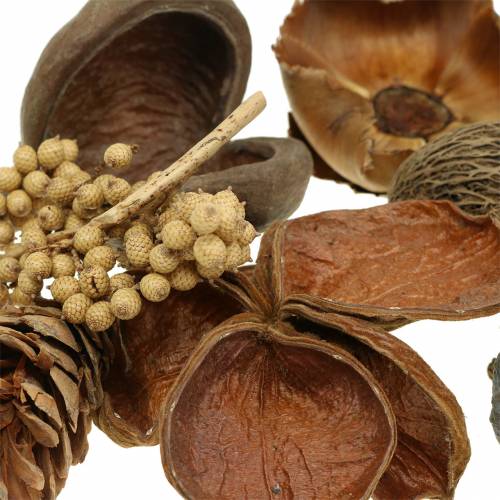 Floristik24 Exotiskt sortiment med strobuskoner natur 300g