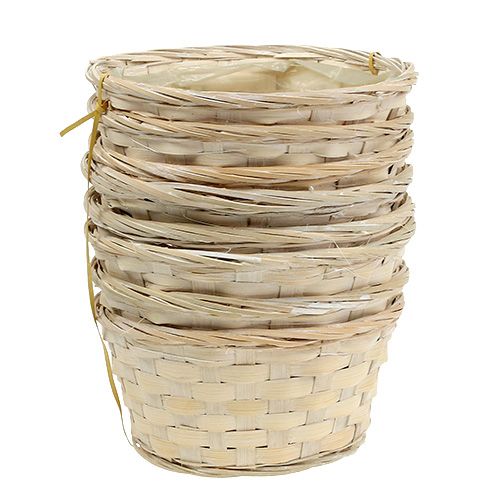 Floristik24 Spånbricka rund vitvit 8st. Ø20 cm