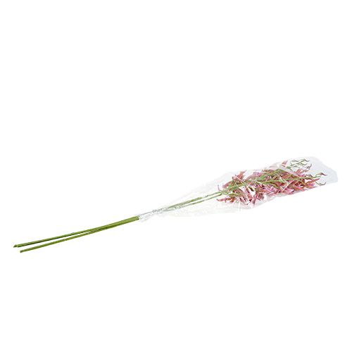 Floristik24 Spindelorkidéer rosa-orange 108 cm 3st