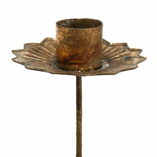 Floristik24 Ljusstake adventskrans för stickande pinneljusstake Ø7cm 4st