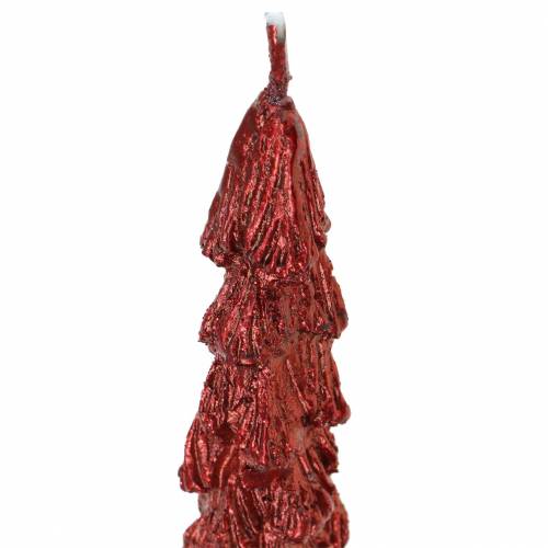 Floristik24 Koniskt ljus granrött 30mm×260mm 2st