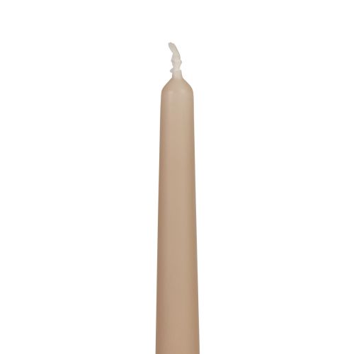 Floristik24 Avsmalnande ljus Wenzelljus beige 250/23mm 12 st