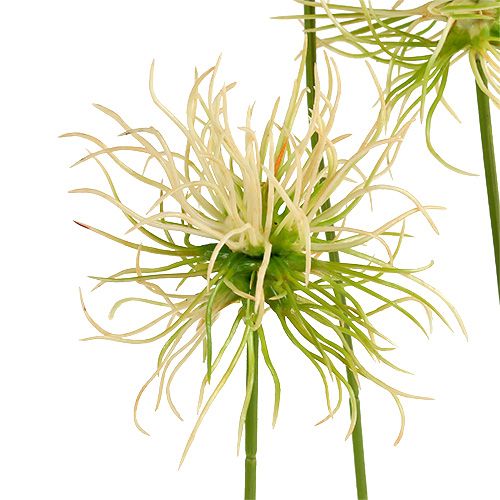 Floristik24 Burdock grenar gröngrön 63 cm 4st