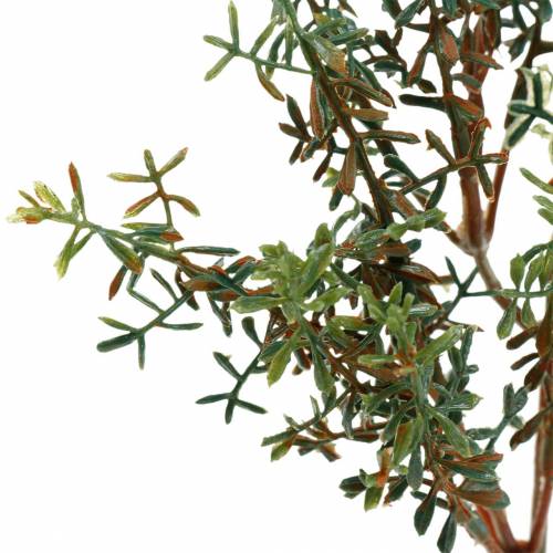 Floristik24 Timjanplocka konstgrönt 26cm 6st
